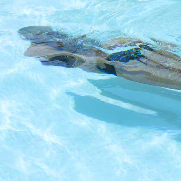 Problem med vattnet i din pool