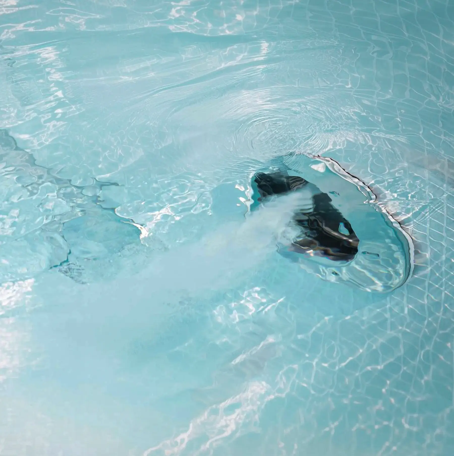 Frilagd bild på en jet-swim in action